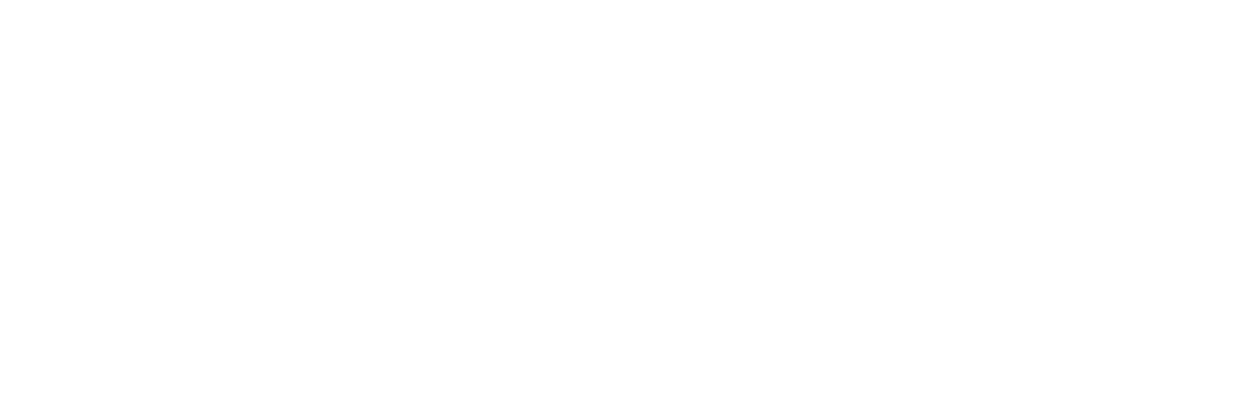 Adyen Integration einrichten